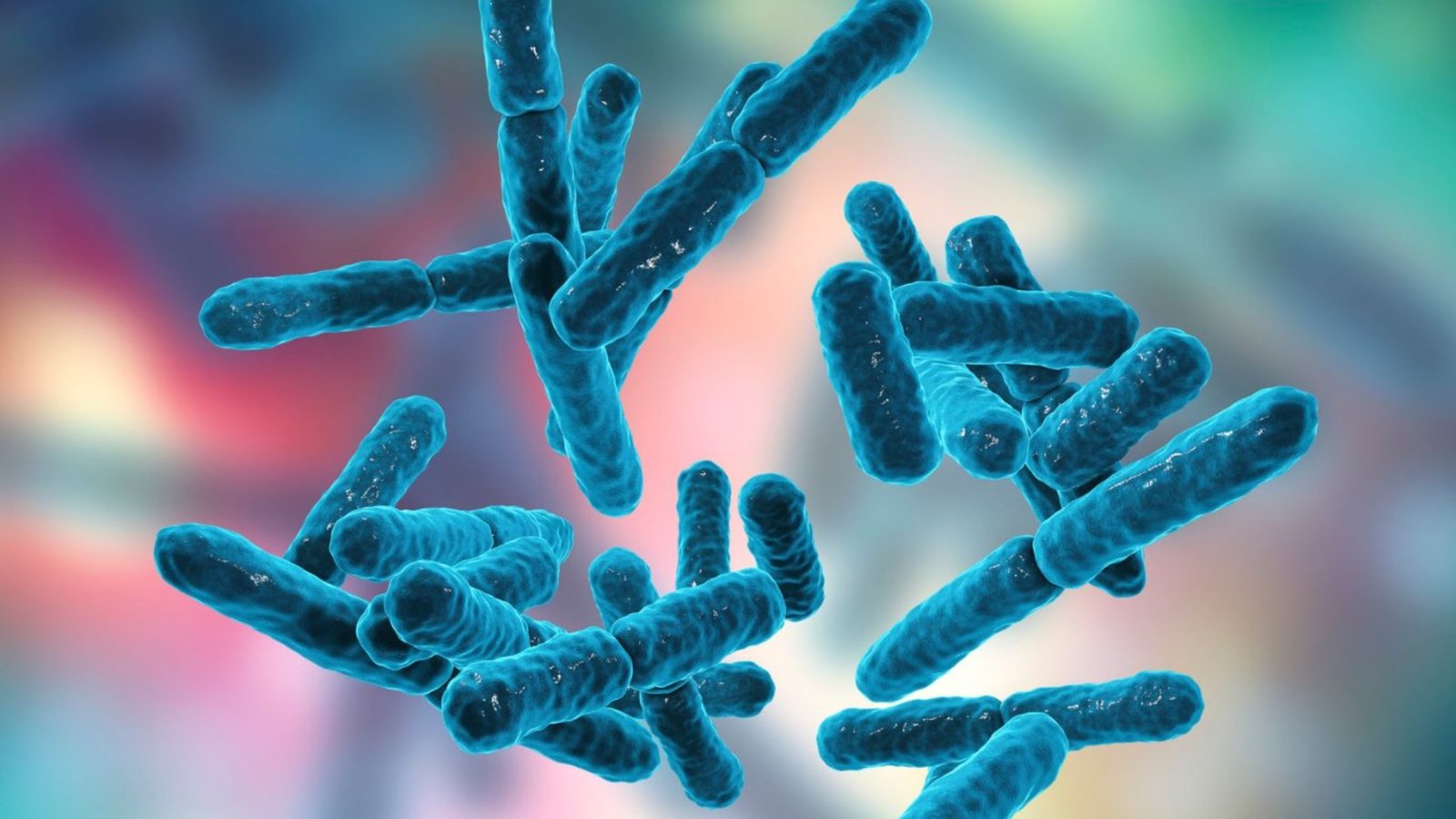 Bacteria Thermus Aquaticus