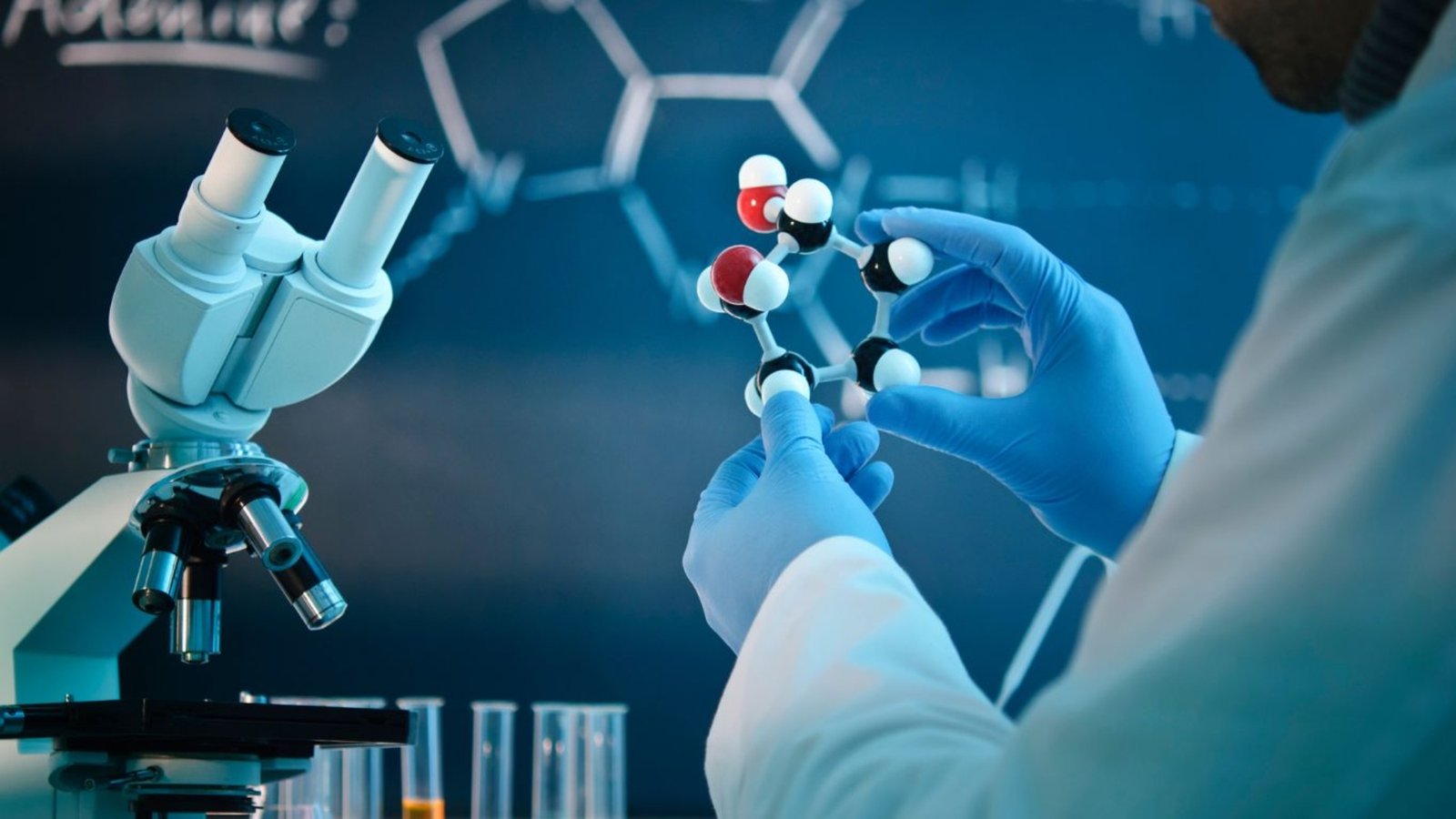Laboratorio de Biología Molecular